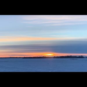 Meet your Posher, Baldemar nelson